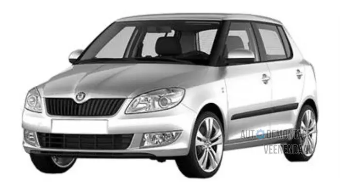 Motorhaube Skoda Fabia