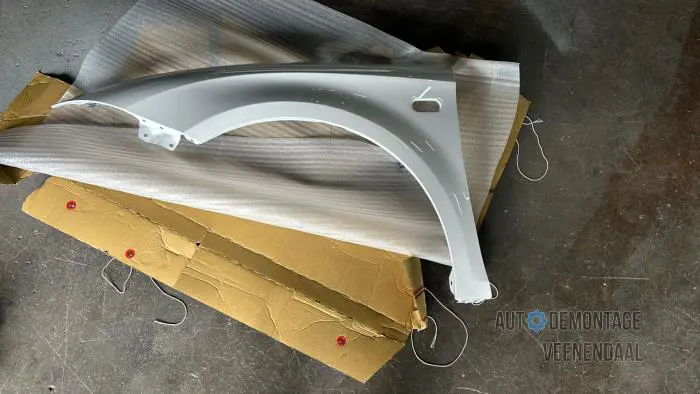 Front wing, left Seat Leon